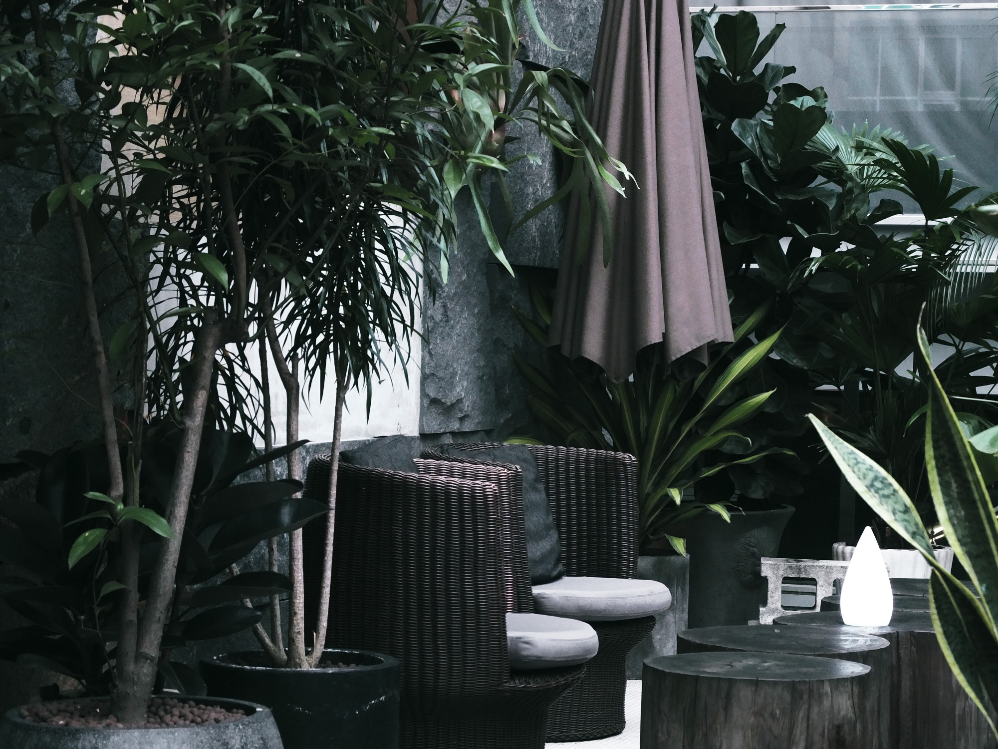 LEZS VVIP PASS特色店家》內湖餐酒館Lazy Point，創作城市間的彩色綠洲